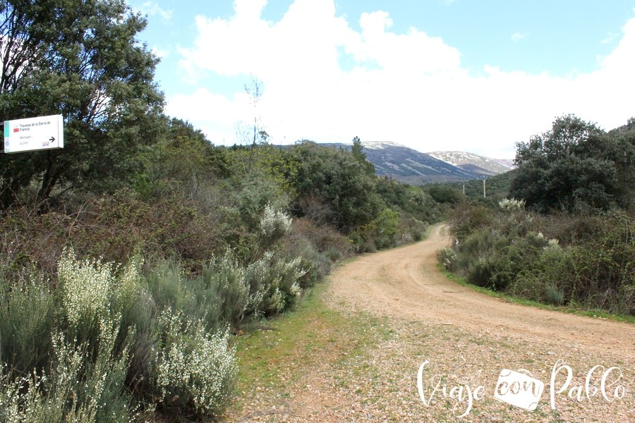 Pista forestal de regreso ruta Monsagro-El Vao