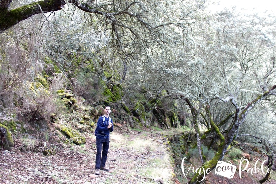 Tramo más bello de la senda ruta Monsagro-El Vao