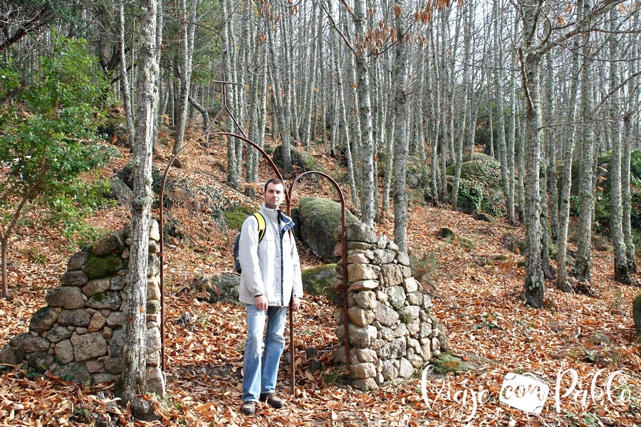 Paisaje otoñal de la ruta del Bosque de los Espejos