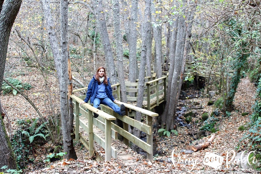 Pasarela sobre el regato de Buena Madre bosque de los espejos