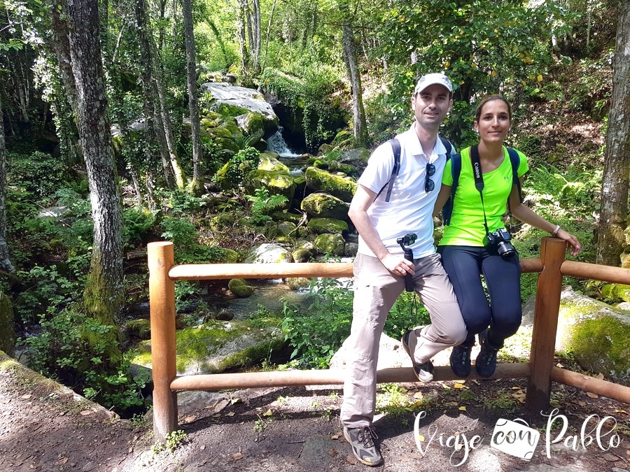 Junto a uno de los arroyos de la ruta