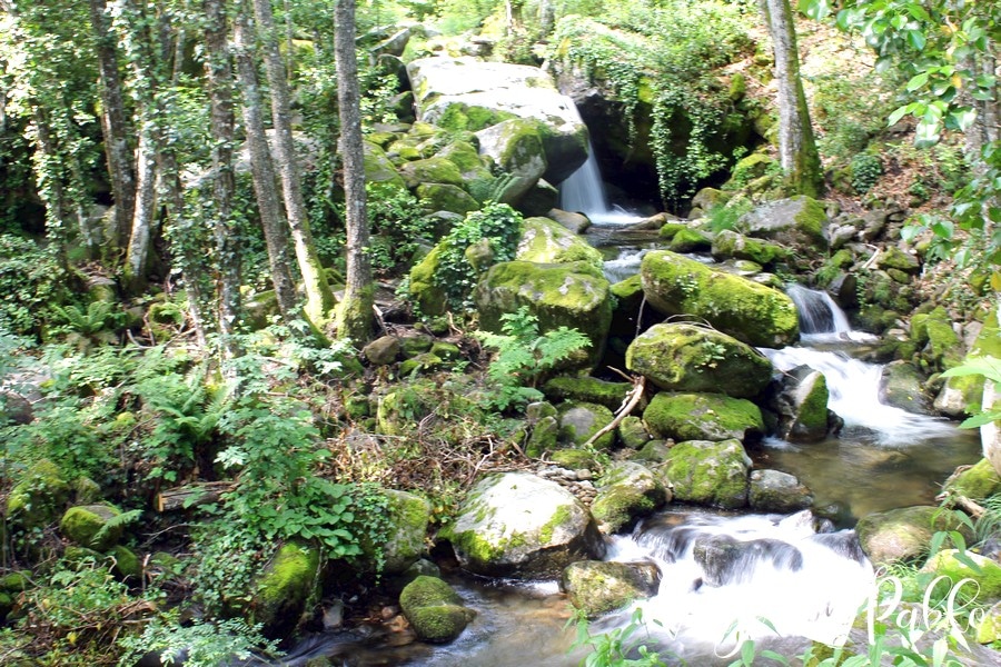 Cauce del Arromilano Camino del Agua