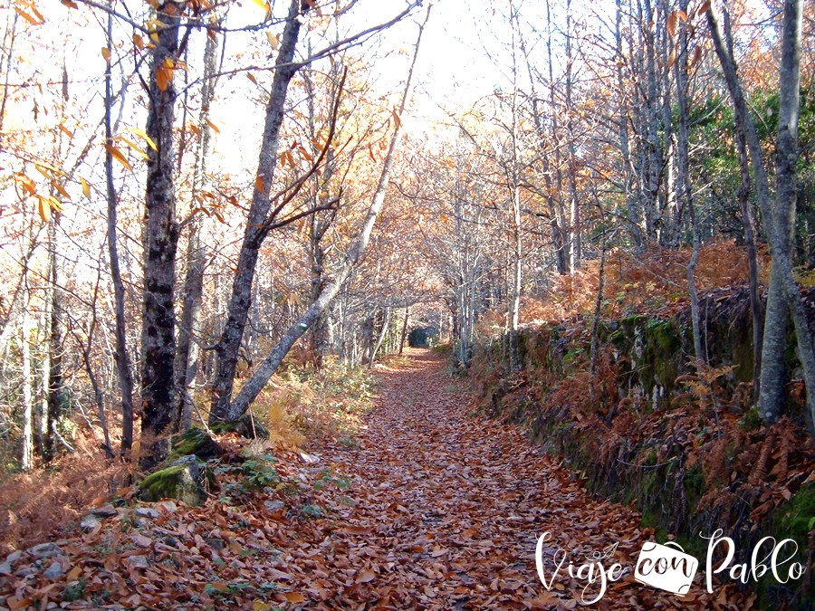 Precioso paisaje otoñal en el sendero del Camino del Agua