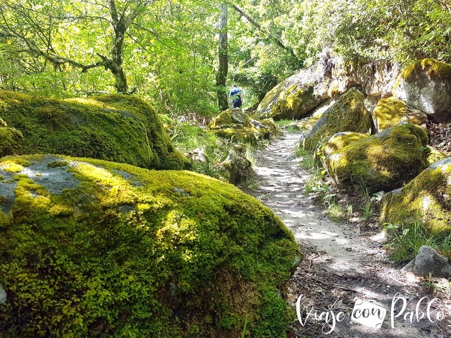 Sendero del Camino del Agua en primavera