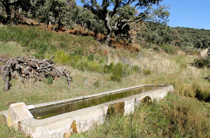 Abrevadero para el ganado Cueva de la Mora