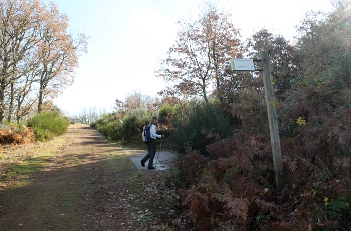 Desvío a la derecha en el camino de La Bastida para tomar el sendero Cueva de la Mora