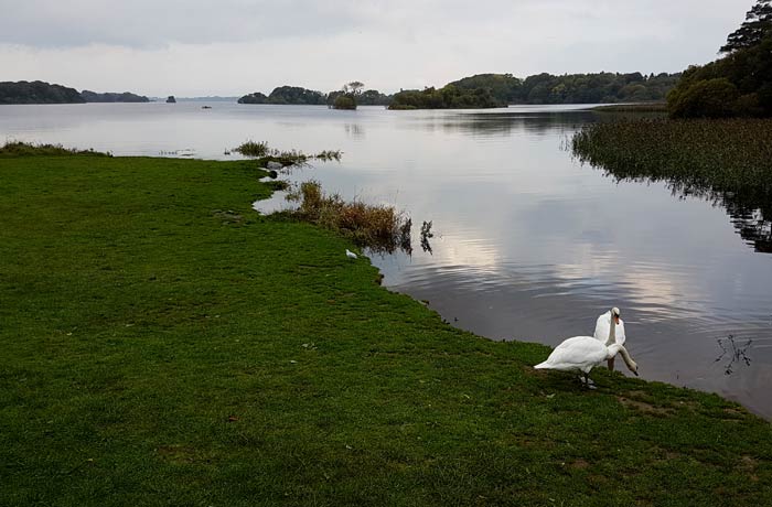 Lago Leane Anillo de Kerry