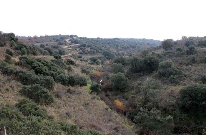 Vista del arroyo de los Cuernos Pozo Airón