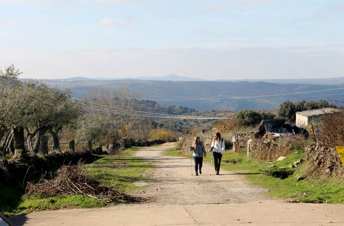 Camino que conduce al Pozo Airón nada más salir de Pereña de la Ribera