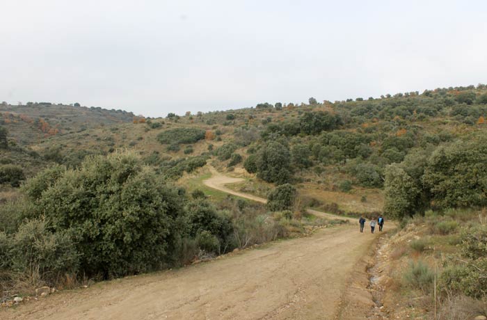 Pista que conduce al Pozo Airón y al fondo aparcamiento para los que quieran acortar la ruta y hacer el primer tramo en coche