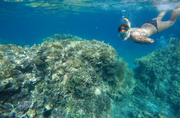 Estefanía observando los corales del mar Rojo qué hacer en Eilat