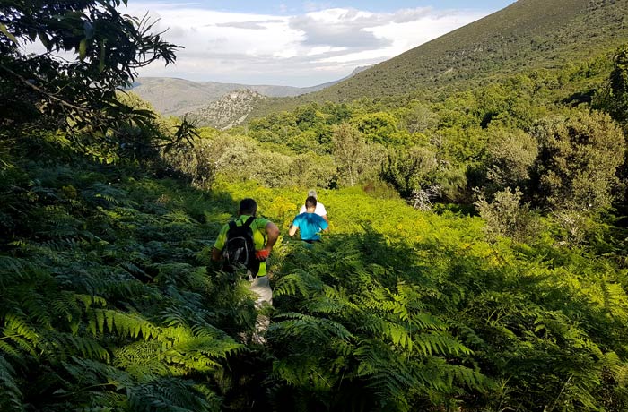 Inicio de la ruta a la chorrera de Jigareo