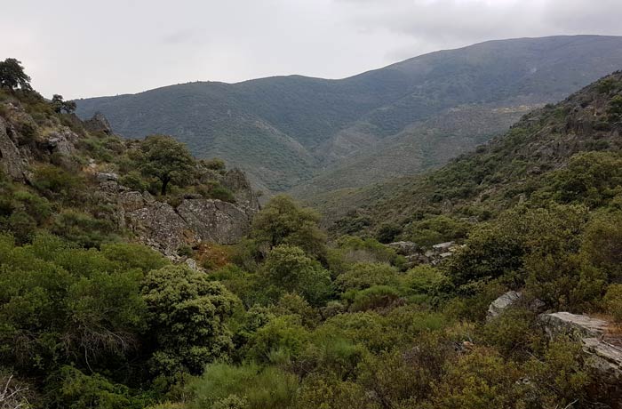 El pico del Castillo antes de la última bajada a la chorrera de Jigareo