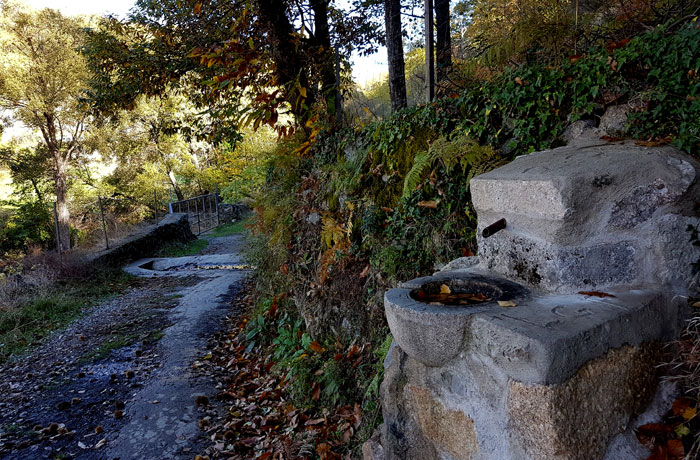 Fuente al incio del recorrido