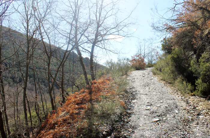 Pista de ascenso ruta de las Fuentes Medicinales