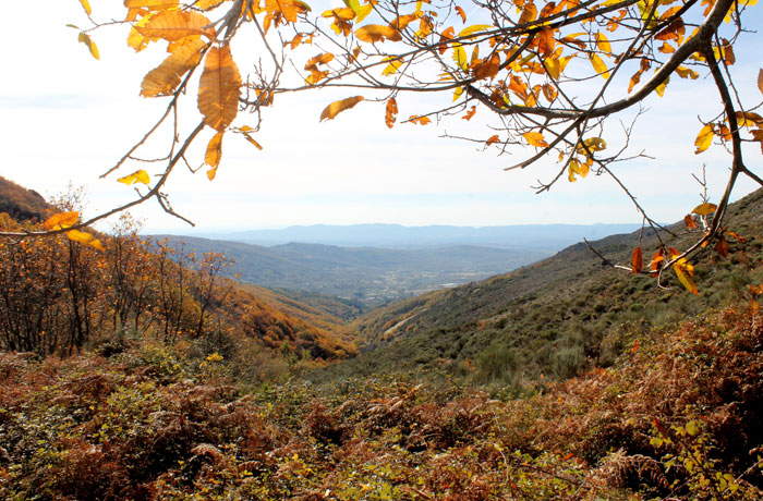 Valle de Jálama desde el puerto de Santa Clara