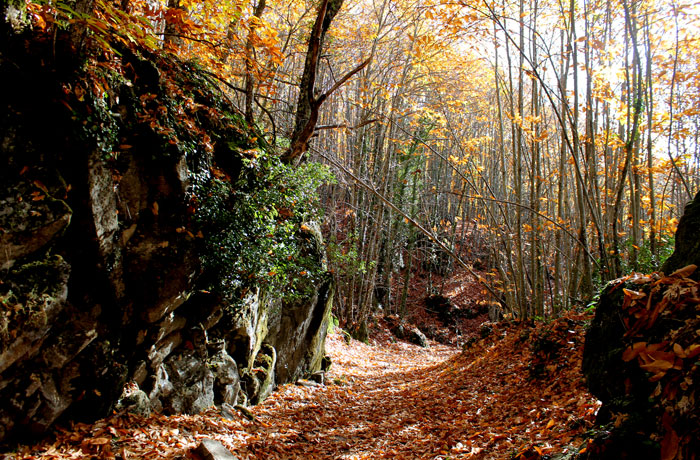 Espectacular vista del sendero de regreso a San Martín de Trevejo