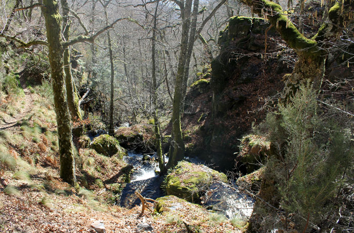 Vistas del bosque ruta de las Fuentes Medicinales