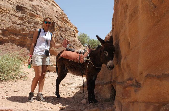 Uno de los burros de los beduinos que ver en Petra