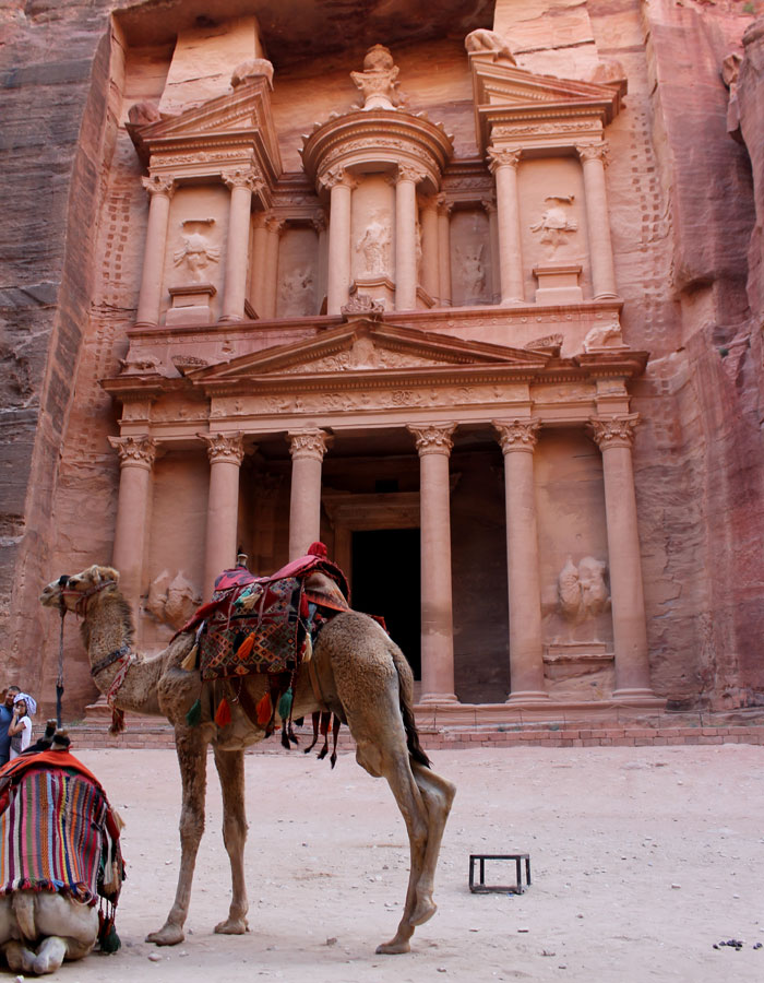 Camello frente al Tesoro que ver en Petra