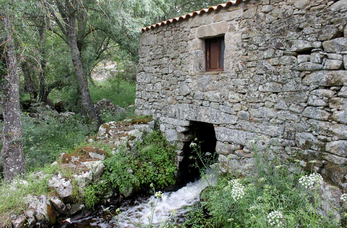 Uno de los molinos del Arroyo Grande