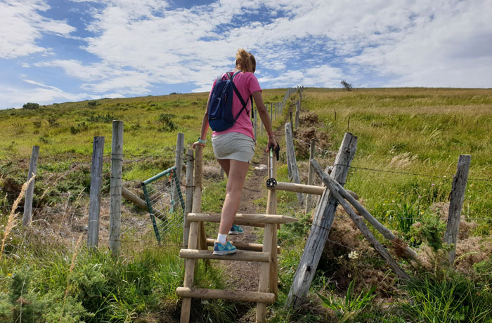 Escalera para acceder al sendero de subida