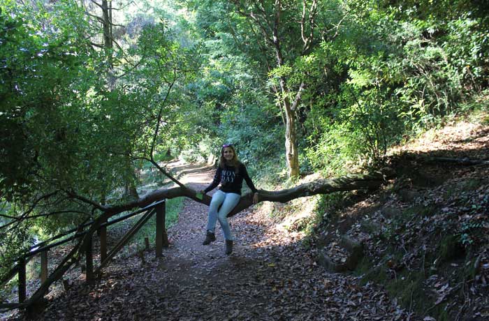 Estefanía sobre uno de los árboles cruzado en un sendero