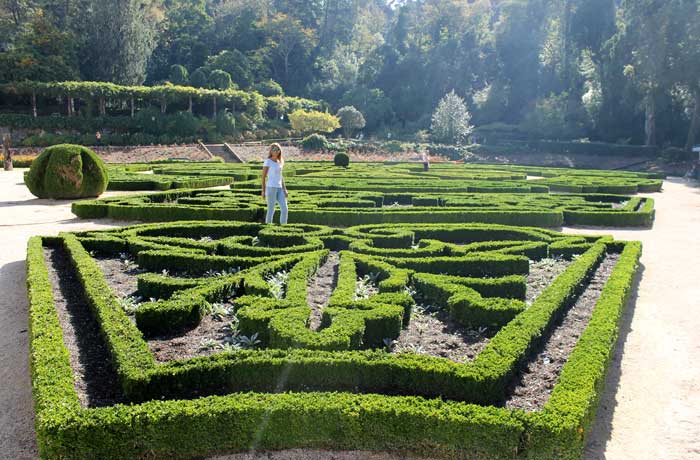 Jardín del palacio real de Bussaco