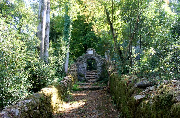 Uno de los senderos del bosque de Bussaco