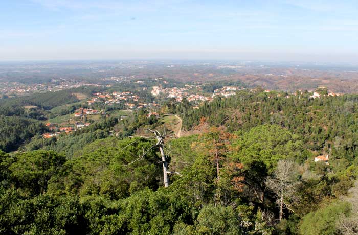 Vistas desde el mirador de la Cruz Alta