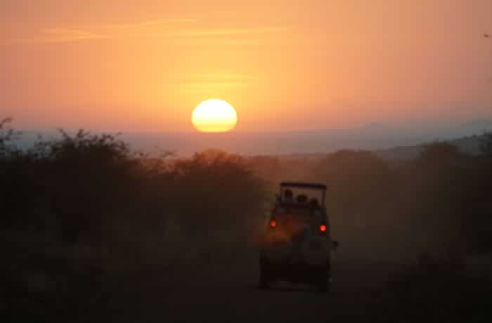 Atardecer en el Serengeti consejos safari en Tanzania