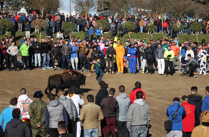 Carnaval del Toro de Ciudad Rodrigo