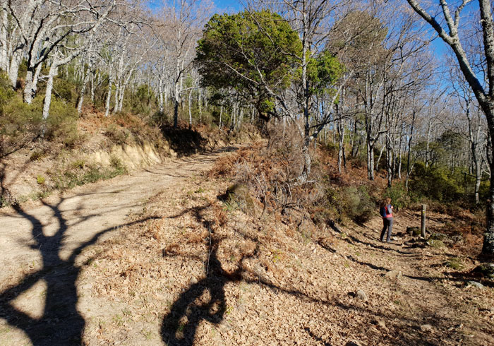 Desvío a la derecha para tomar el sendero que une La Alberca con Herguijuela