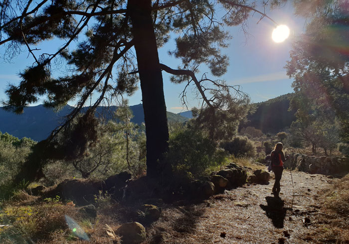 Tramo final antes de llegar a Herguijuela de la Sierra