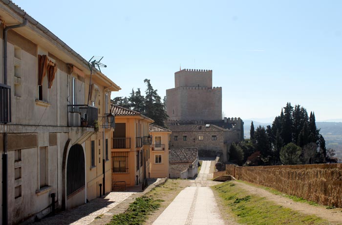 Paseo por de la muralla con el alcázar de Enrique II de Trastamara al fondo