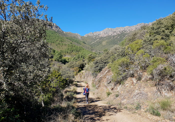 Pista que tomamos nada más cruzar la carretera que una Herguijuela con Rebollosa