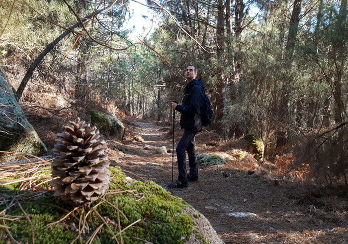 Paisaje otoñal en la senda entre La Alberca y Herguijuela de la Sierra