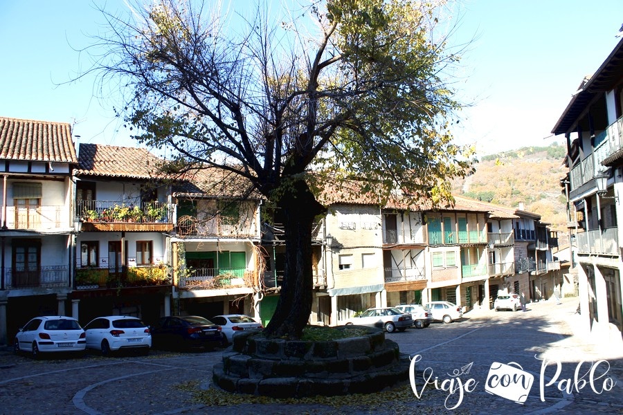 Plaza Mayor de Cepeda