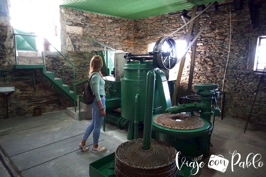 Almazara de la bodega D'Origem