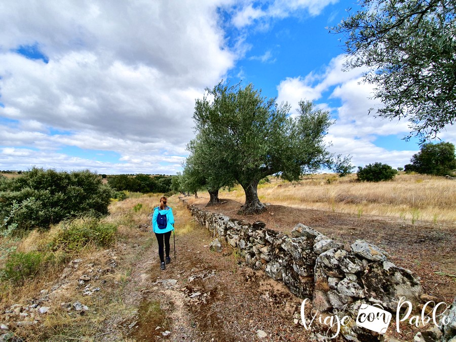 Sendero que tomamos tras el giro a la izquierda en la pista