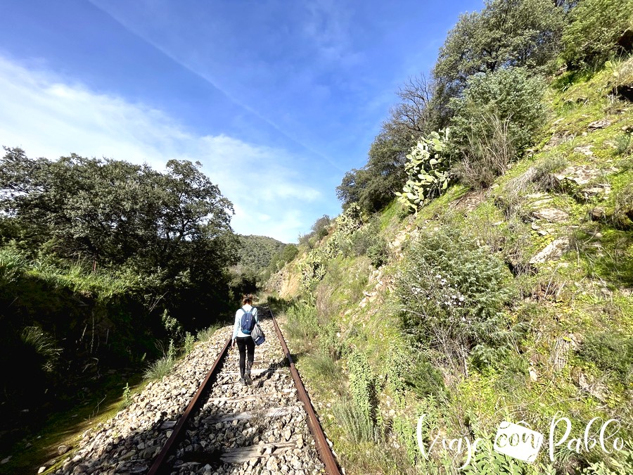 Uno de los tramos del Camino de Hierro