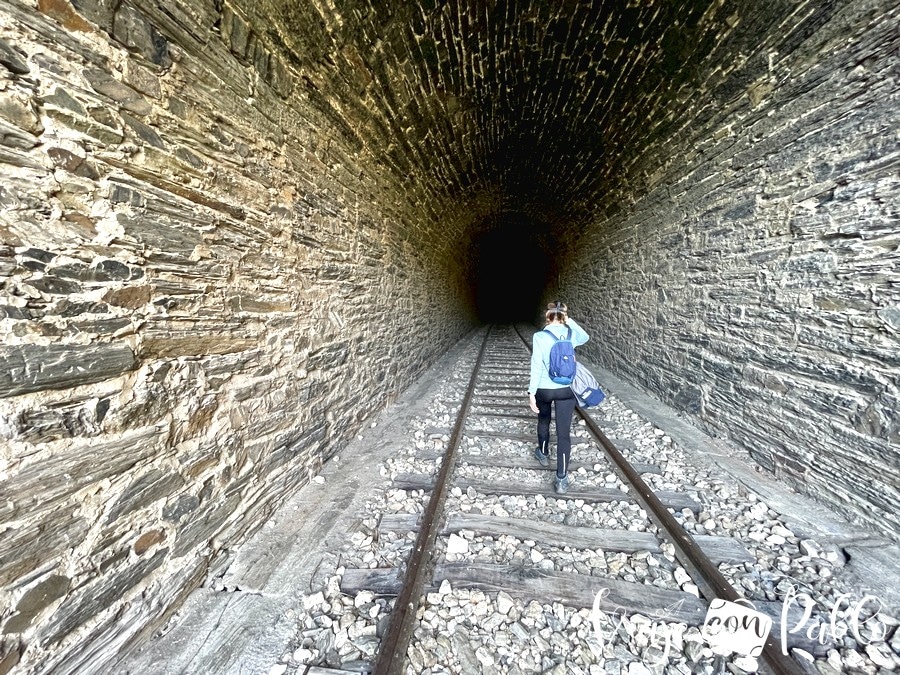 Uno de los túneles del Camino de Hierro