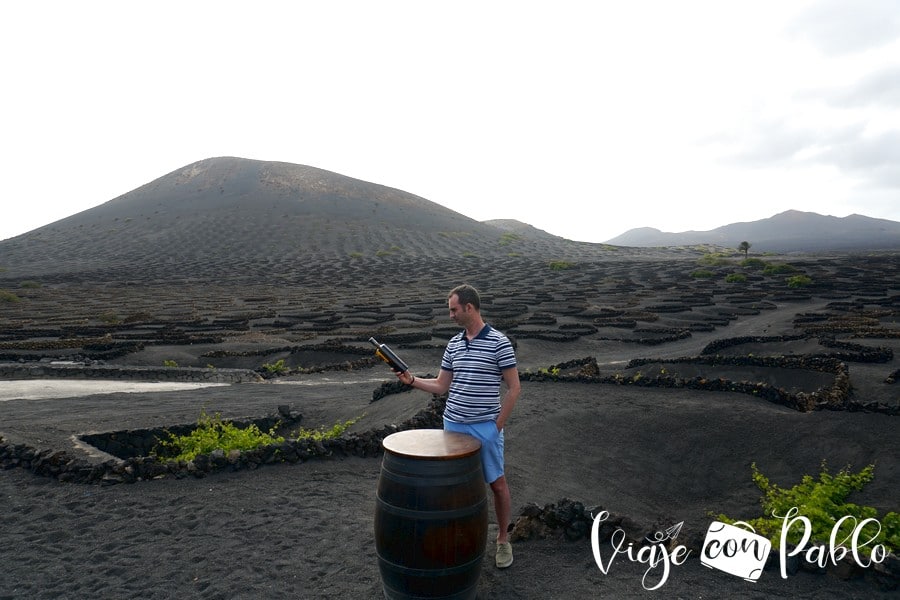 En los viñedos de la bodega La Geria