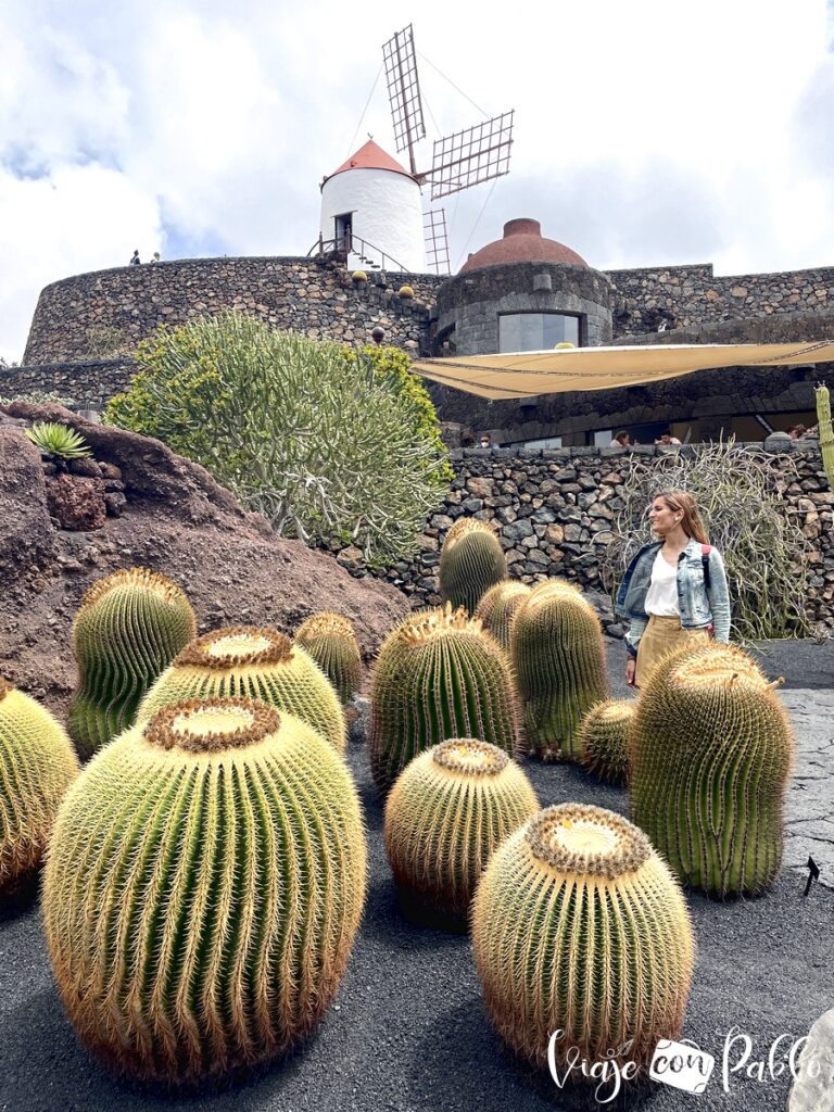 Jardín de cactus que ver en lanzarote