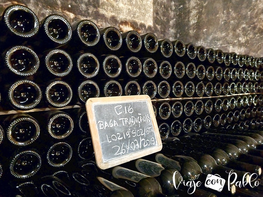 Botellas colocadas en las galerías de las Caves Messias