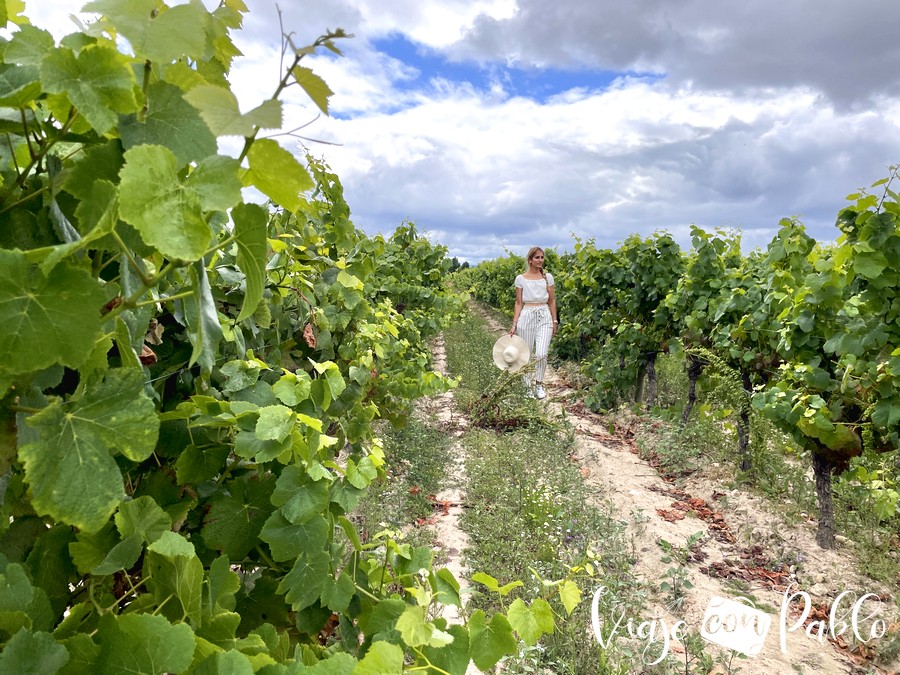 Viñedos de la DOC Bairrada