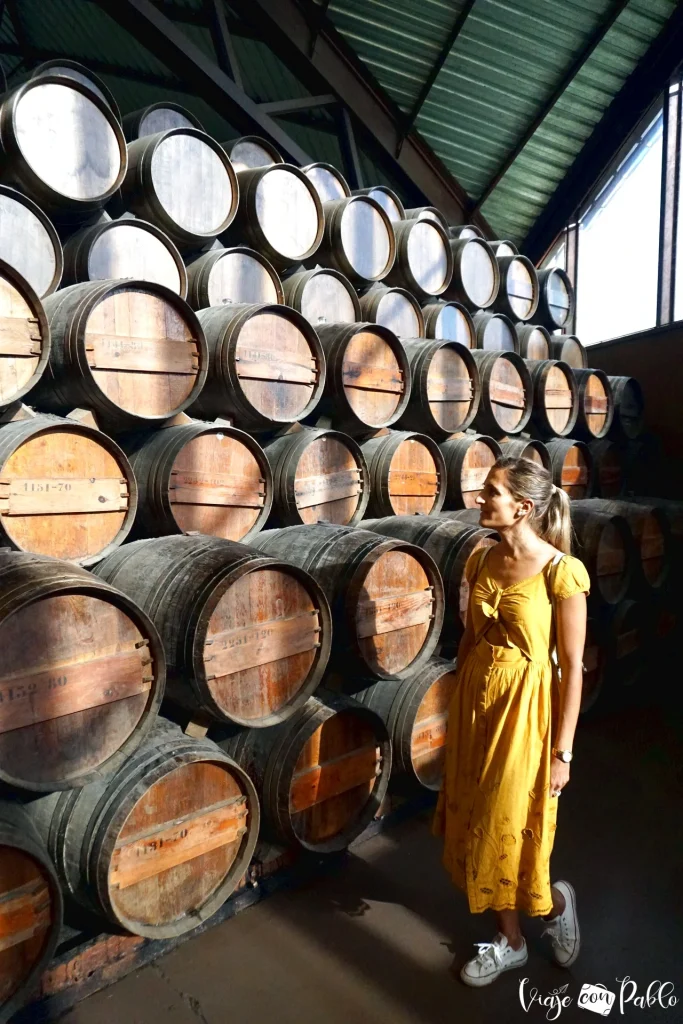 Barricas de la bodega Bacalhoa