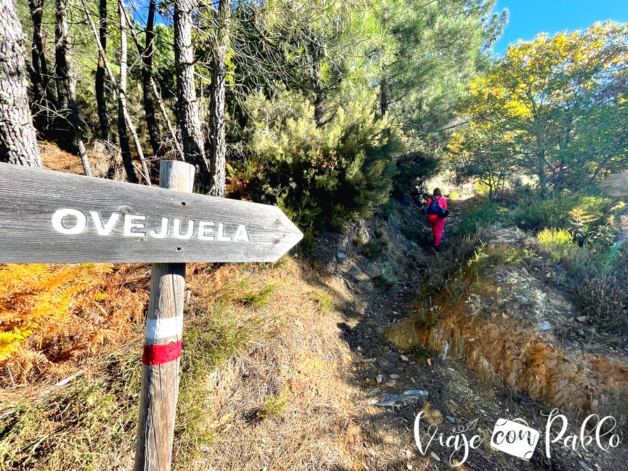 Sendero que parte a la izquierda en dirección a Ovejuela