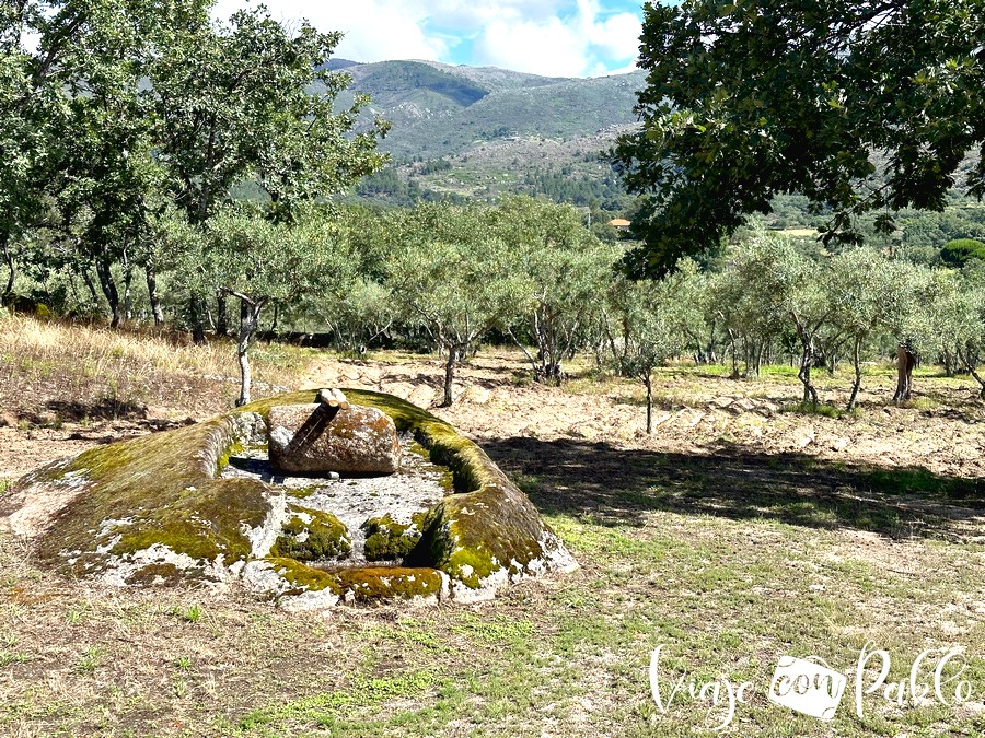 Uno de los molinos de rodillo recuperados por Miguel